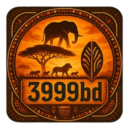3999bd শুরু করার চূড়ান্ত নিশ্চিতকরণ